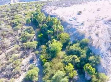 Rancho , La Paz · Rancho Guadalupe de La Herradura en San Hilario, Bcs