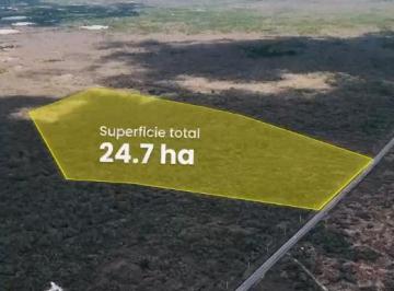 Terreno / Lote , Hunucmá · Terreno de 24.7 Hectáreas con Frente Carretera Hunucma - Tetiz, Yucatán