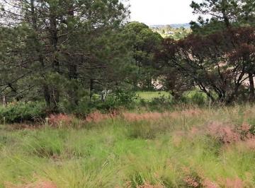 Terreno / Lote · 6526m² · Terreno Campestre en Venta en Aculco