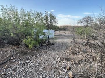 Huerta · 8597m² · Finca en Venta en Labor de Dolores 8.6 Ha