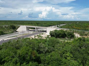 Terreno / Lote · 1009635m² · Venta Terreno Rustico Yalcoba, Valladolid Yucatan por Debajo de Avaluo Comercial