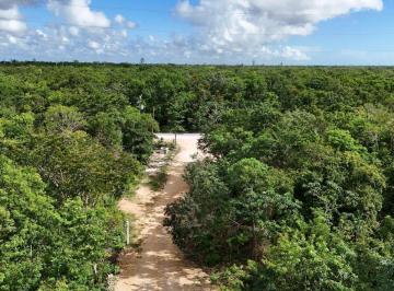 Terreno / Lote , Tulum · Venta Lotes Residenciales Tulum Chemuyil