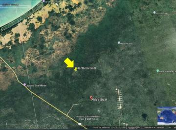 Terreno / Lote · 20000m² · | Terreno en Venta en Sisal, Hunucmá, Yucatán |