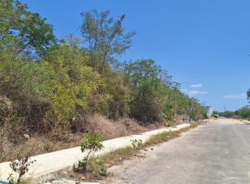 Terreno / Lote · 454m² · | Excelente Oportunidad de Terreno, Listo Para Construir. |