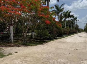 Terreno / Lote · 10000m² · Terreno en Venta