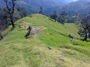 Terreno / Lote · 900000m² · Terreno - Jilotepec