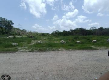 Terreno / Lote , Progreso · Terreno de Oportunidad!