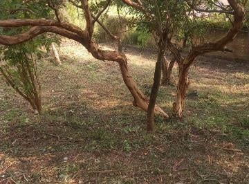 Terreno / Lote , Tepoztlán · Terreno en Venta en Tepoztlán Morelos, Cuenta con Escrituras