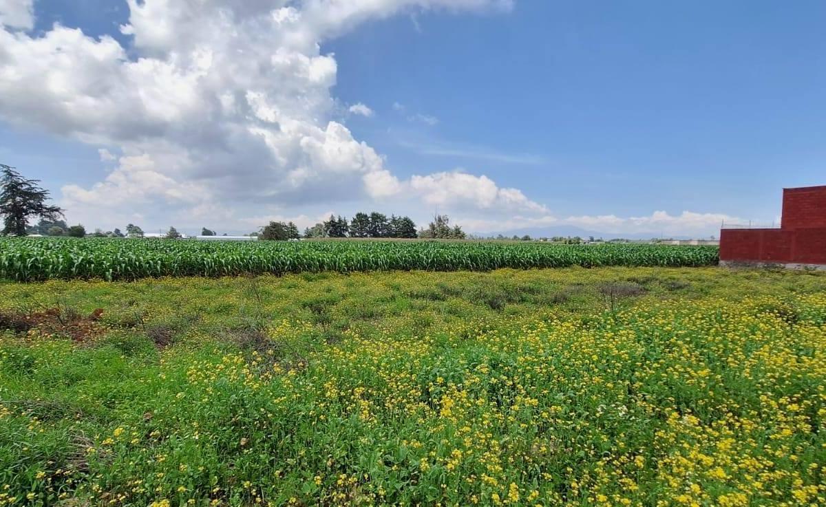 Sale of Residential Lots in San Andres Private Development