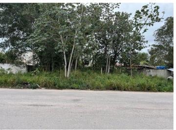 Terreno / Lote · 1m² · 2 Estacionamientos · Terreno en Venta con 529.6 m², Uso de Suelo Mixto, Tumben Kah, Tulum, Q. Roo