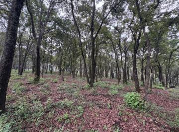 Terreno / Lote , Jilotzingo · Terreno en Venta en Jilotzingo