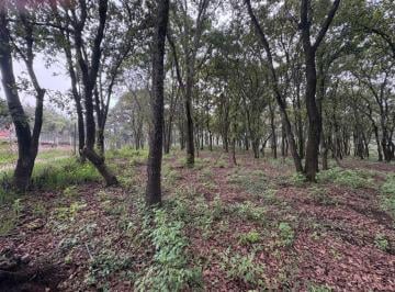 Terreno / Lote , Jilotzingo · Terreno en Venta en Jilotzingo