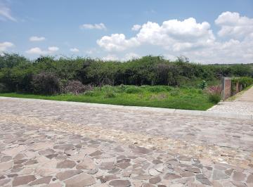 Terreno / Lote , Comonfort · Terreno en Venta Martorell