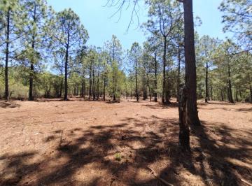 Terreno / Lote en Venta Rancho o rancheria Los Espinos · Oportunidad en Tapalpa, Terreno Rustico Arbolado en Venta - Trato Directo