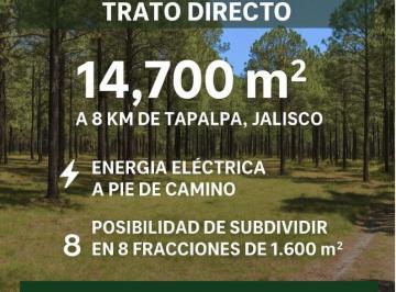 Terreno / Lote , Tapalpa · Oportunidad en Tapalpa, Terreno Rustico Arbolado en Venta - Trato Directo