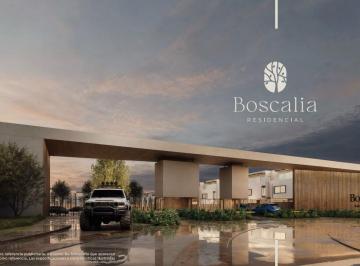 Terreno / Lote · Terreno en Boscalia