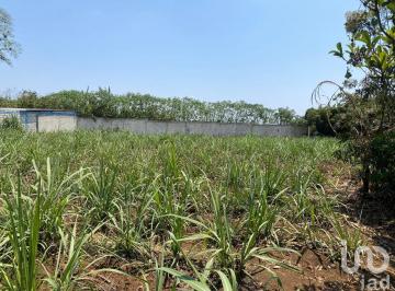 Terreno / Lote · 2997m² · Terreno en Venta en Coatepec, Veracruz