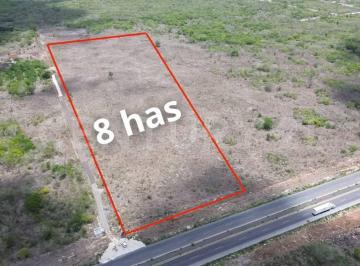Terreno / Lote · 80000m² · Terreno Industrial en Venta Sobre Carretera Mérida - Cancún en Ticopó,yucatán