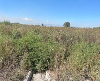 Terreno / Lote · 60000m² · Terreno en Venta en Cuautitlán