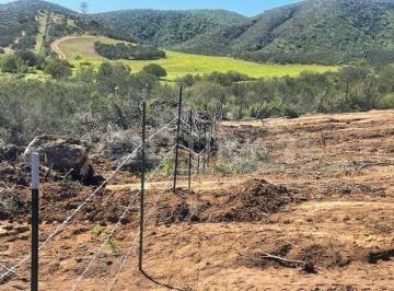 Terreno / Lote · 1000m² · Terreno en Venta en San Antonio de Las Minas – Col. Guadalupe, Ensenada, B. C.