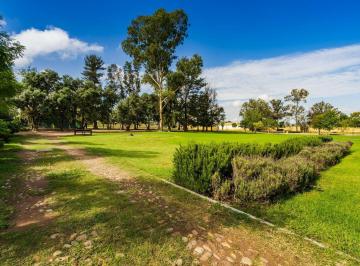 Terreno / Lote · 160m² · Terreno en Venta en Reserva Santa Mónica