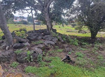 Terreno / Lote , Tlalmanalco · Venta de Terreno de 4 Hectáreas en Tlalmanalco