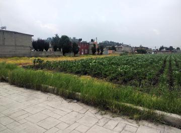Terreno / Lote · 2500m² · Terreno en Venta en La Colonia Las Américas, Municipio de Chapultepec, Estado de México.