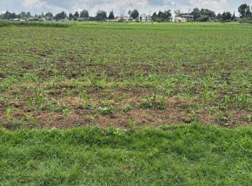 Terreno / Lote · 1430m² · Terreno en Venta