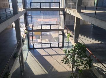 Oficina · 1228m² · Oficina en Renta de 1228.86 m², en Col. Revolución, Tijuana, B. C.