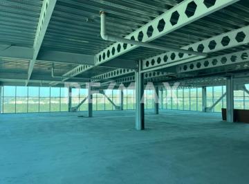 Oficina · 582m² · 23 Estacionamientos · Oficina en Renta de 582.99 m², en Río Tijuana Tercera Etapa, Tijuana B. C.