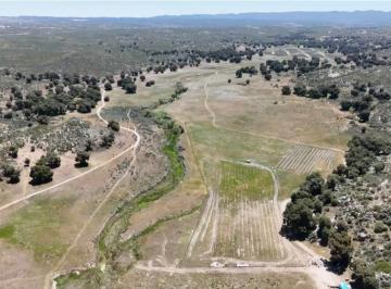 Terreno / Lote · 100000m² · Terreno en Venta de 10 Ha, en El Hongo