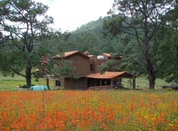 Hermoso Rancho CALATE I en venta en Juanacatlan a 15 min. de Tapalpa con bosque. · Hermoso Rancho Calate I en Venta en Juanacatlan a 15 Min. de Tapalpa con Bosque.