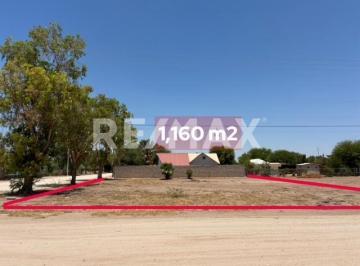 Terreno comercial · 1160m² · Terreno en Renta en Granjas Los Manantiales - (4)