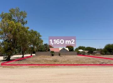 Terreno comercial · 1160m² · Terreno en Renta en Granjas Los Manantiales - (4)