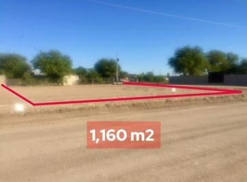 Terreno comercial · 1160m² · Terreno en Renta en Granjas Los Manantiales - (4)