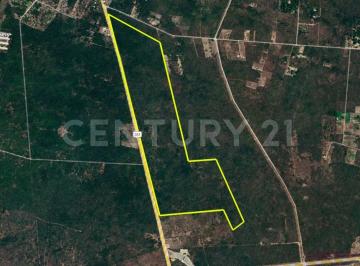 Terreno / Lote · 600000m² · Terreno en Venta en Hunucmá, Yucatán