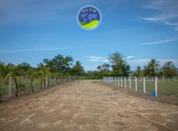 Terreno / Lote , San Pedro Mixtepec · Terrenos Exclusivos Cerca de Playa Palmarito, Oaxaca.