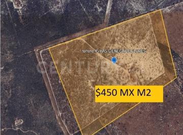 Terreno / Lote · 450000m² · Terreno en Venta en Cienega de Flores en Nuevo Leon