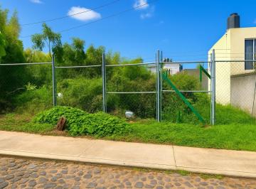 Terreno / Lote · 241m² · Terreno en Venta en Cedros Limón