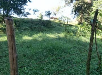 Terreno / Lote · 290000m² · Terreno - Coatepec