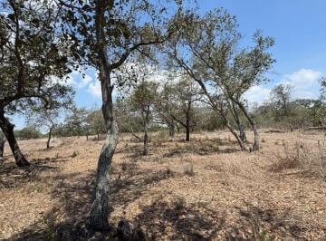 Terreno / Lote · 318100000m² · Terreno en Venta a Espaldas de Basf, Altamira, Tam.