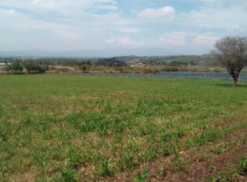 Terreno / Lote · 40000m² · Terreno en Venta con Todos Los Servicios por La Zona! Carretera a Chapala