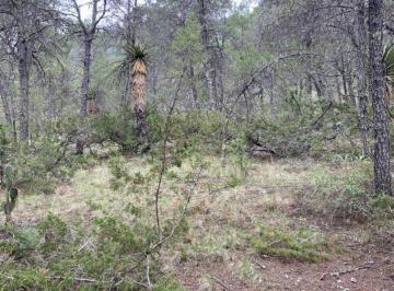 Terreno / Lote , Arteaga · Terreno en Venta Huachichil