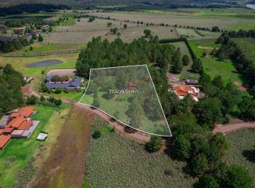 Terreno / Lote · 17409m² · Increible Terreno Arbolado en Rancho San Francisco
