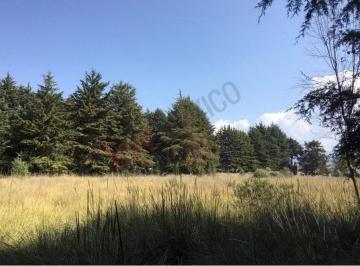 N/A · ¡Gran Oportunidad! Terreno Industrial en Venta en Almoloya de Juárez - Excelente Ubicación