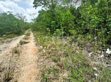 Terreno / Lote · 749999m² · Terreno en Venta en Little Alamos