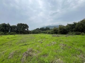 Terreno / Lote · 963m² · Terreno en Venta - (4)
