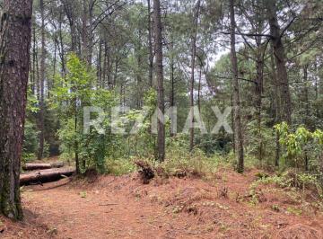 Terreno / Lote · 15675m² · Terreno en Venta - (4)