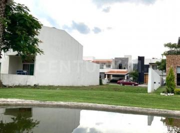 Terreno / Lote · 438m² · Venta de Terreno en Fracc. Pavo Real en Par Vial, Jiutepec