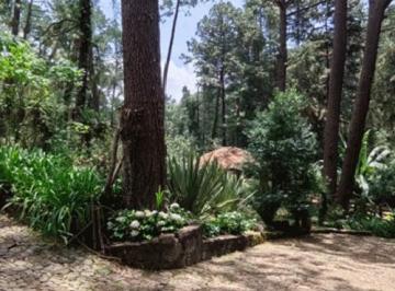 Terreno / Lote , Mazamitla · Terreno en Venta en Los Cazos, Mazamitla, Jalisco